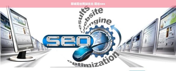 聊城陽谷網站優化、SEO與計算機軟件開發銷售一體化服務解析